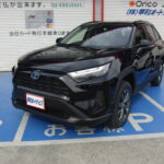 RAV-4_稲村直人